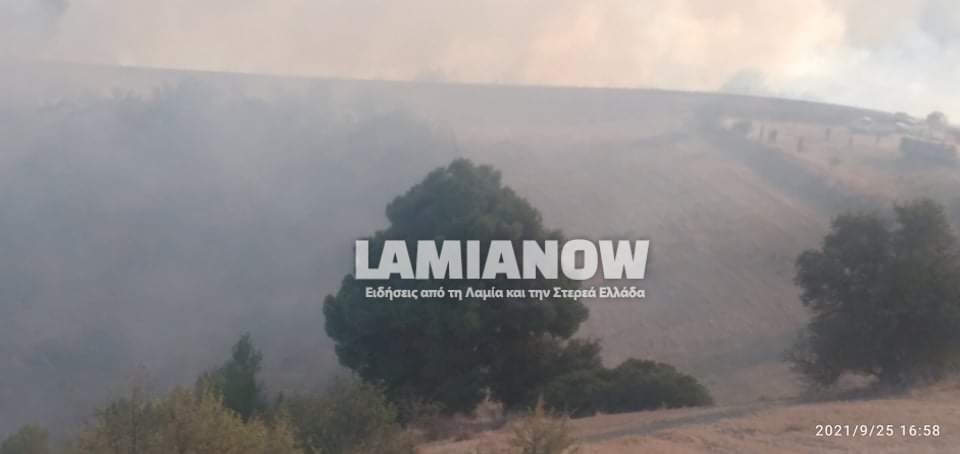 received 1446103062425832 | Lamianow.gr