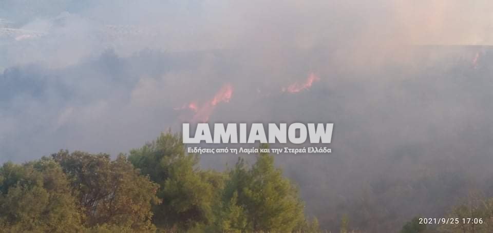 received 1490922821266471 | Lamianow.gr