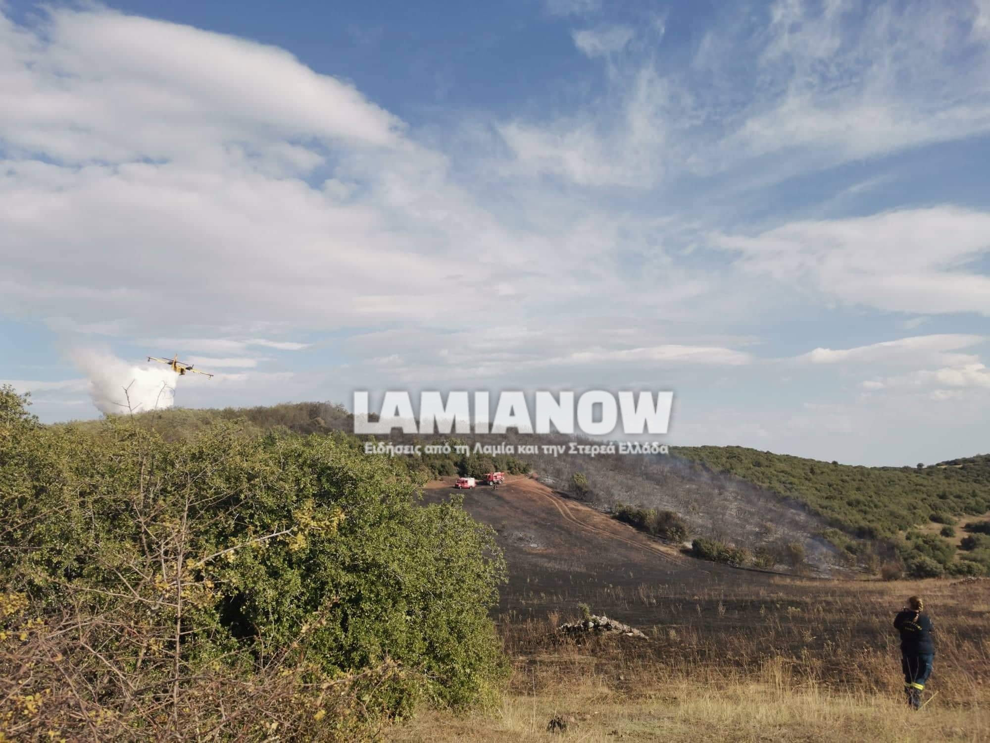 received 182208973971178 | Lamianow.gr