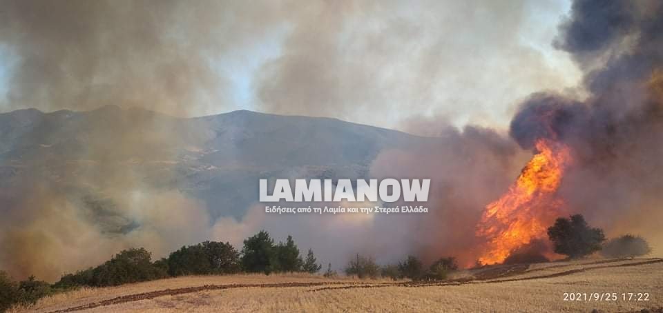 received 193224836228792 | Lamianow.gr