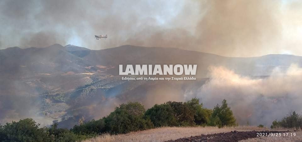 received 265411998769695 | Lamianow.gr