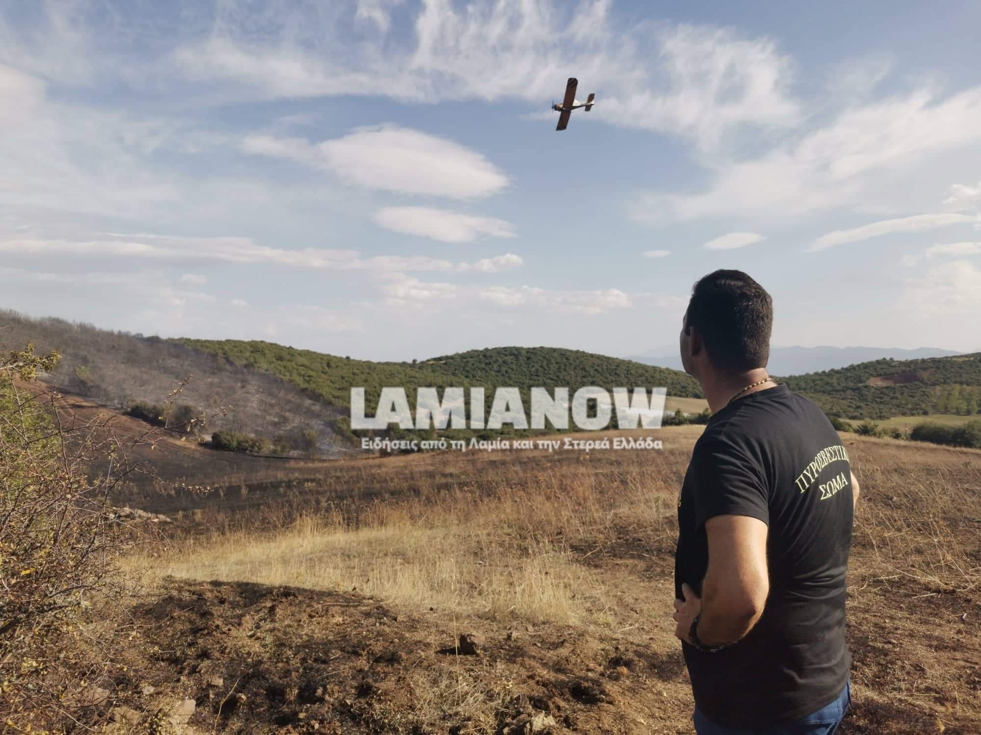 received 5521139701248771 | Lamianow.gr