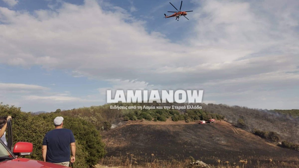 received 816887908977717 | Lamianow.gr