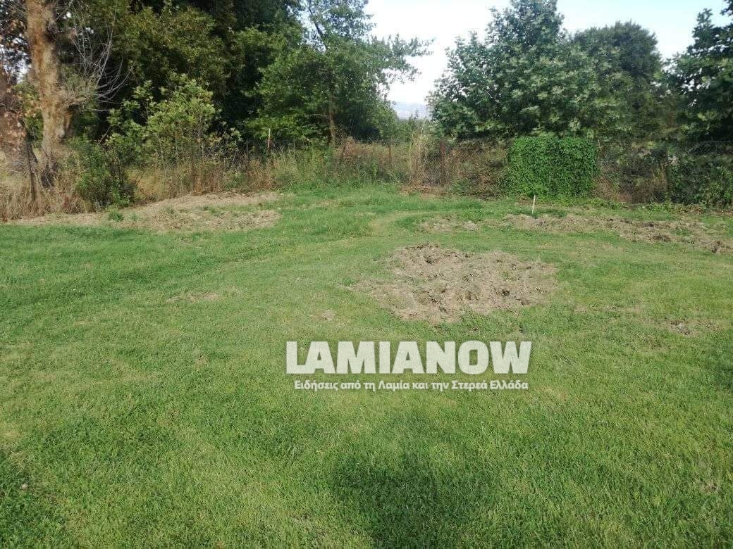 received 969643213597904 | Lamianow.gr