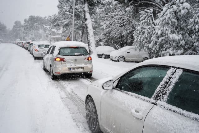 elpida | Lamianow.gr