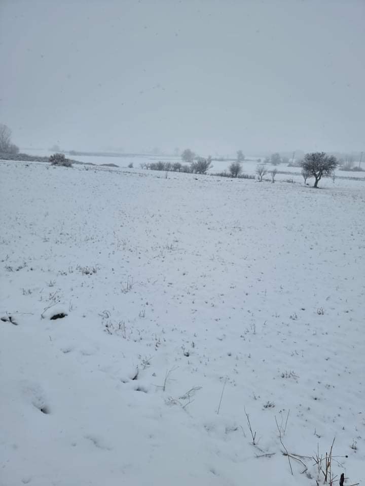 received 321775689877402 | Lamianow.gr