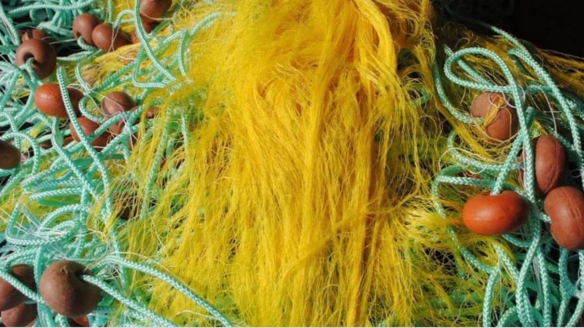 e0524445 491a 4419 bcb2 c2f5b342ff83 | Lamianow.gr