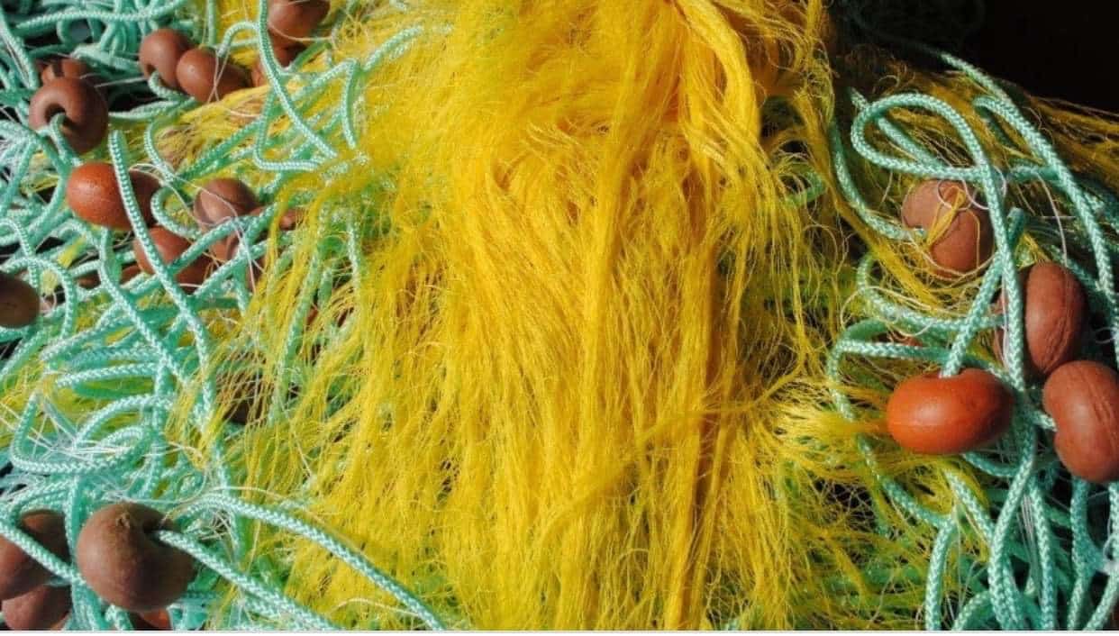 e0524445 491a 4419 bcb2 c2f5b342ff83 | Lamianow.gr