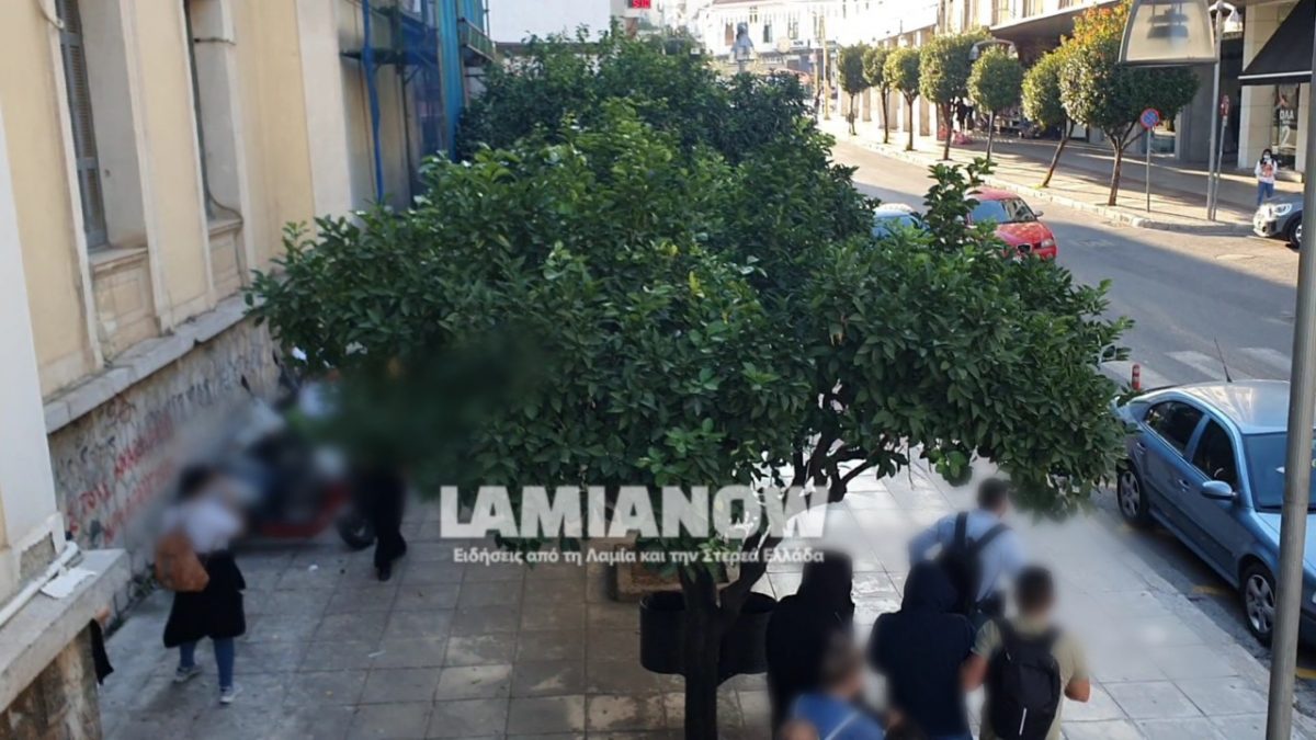https://lamianow.b-cdn.net/wp-content/uploads/2024/03/Iamia-Now-01-1-2-1-scaled.jpg