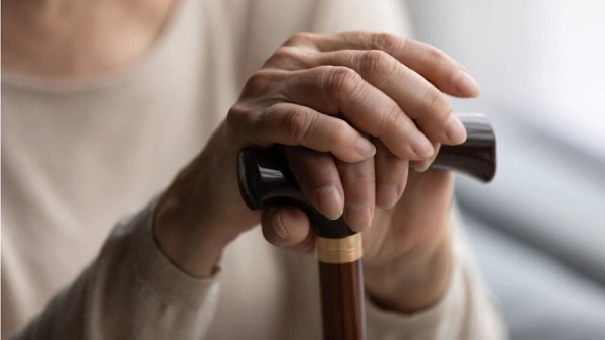 IMG 3474 | Lamianow.gr