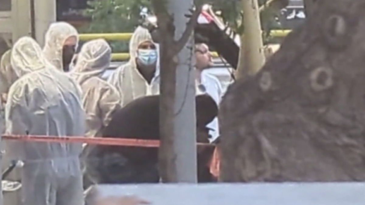 IMG 4094 | Lamianow.gr