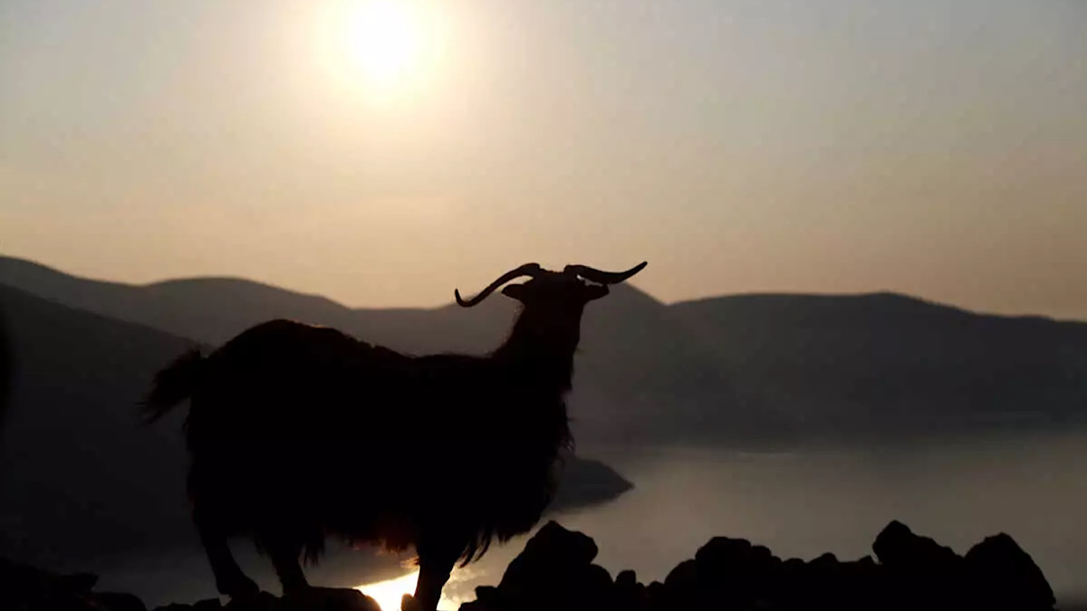 IMG 4200 | Lamianow.gr