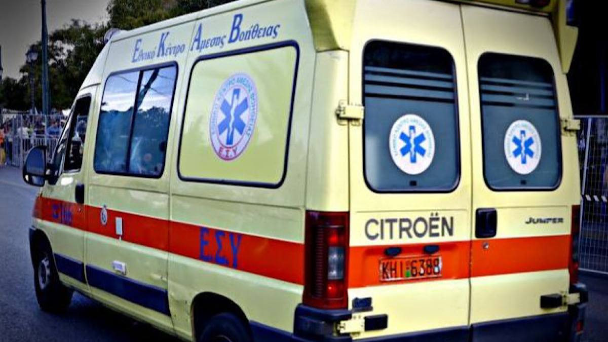 IMG 4600 | Lamianow.gr