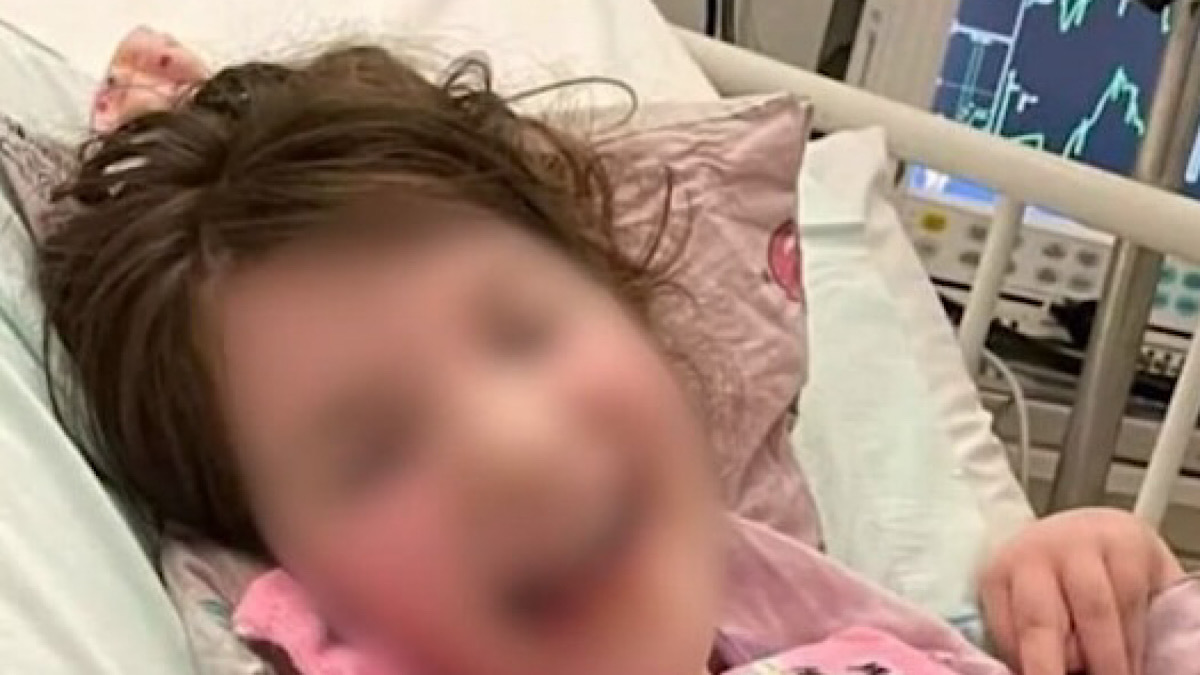 IMG 4674 | Lamianow.gr