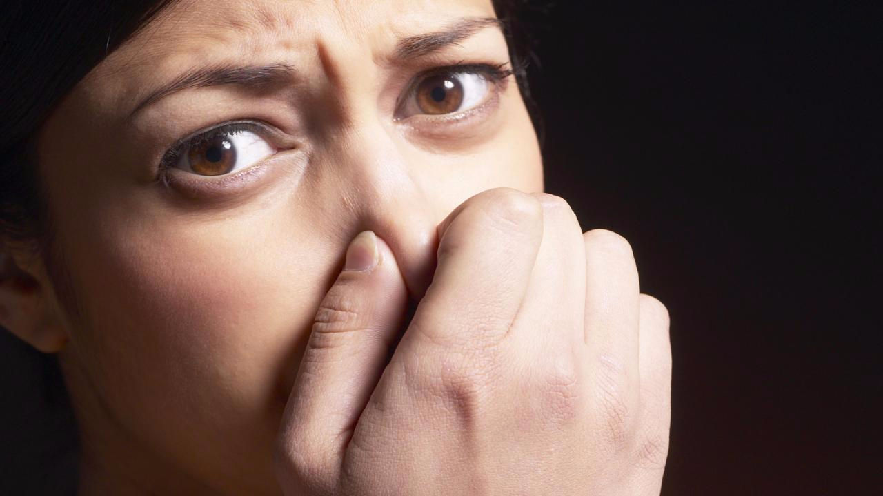 mirodia | Lamianow.gr