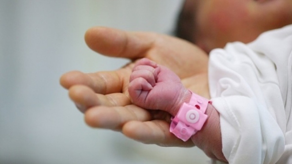 IMG 4811 | Lamianow.gr