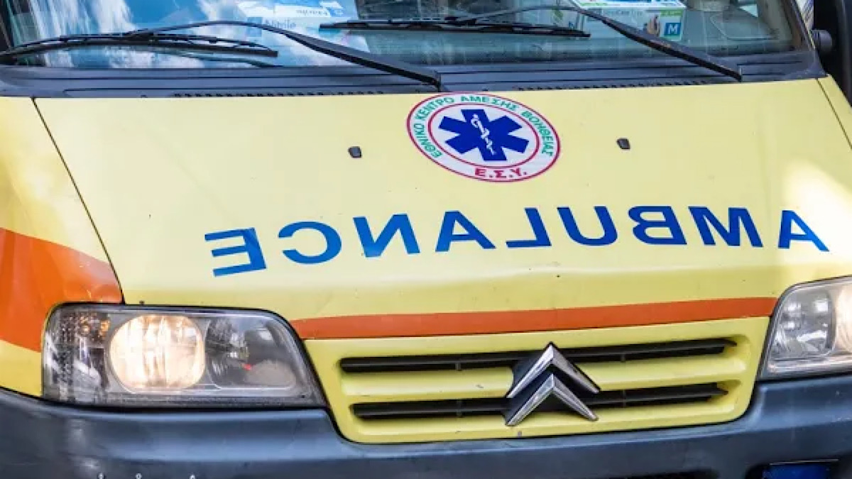 IMG 4867 | Lamianow.gr