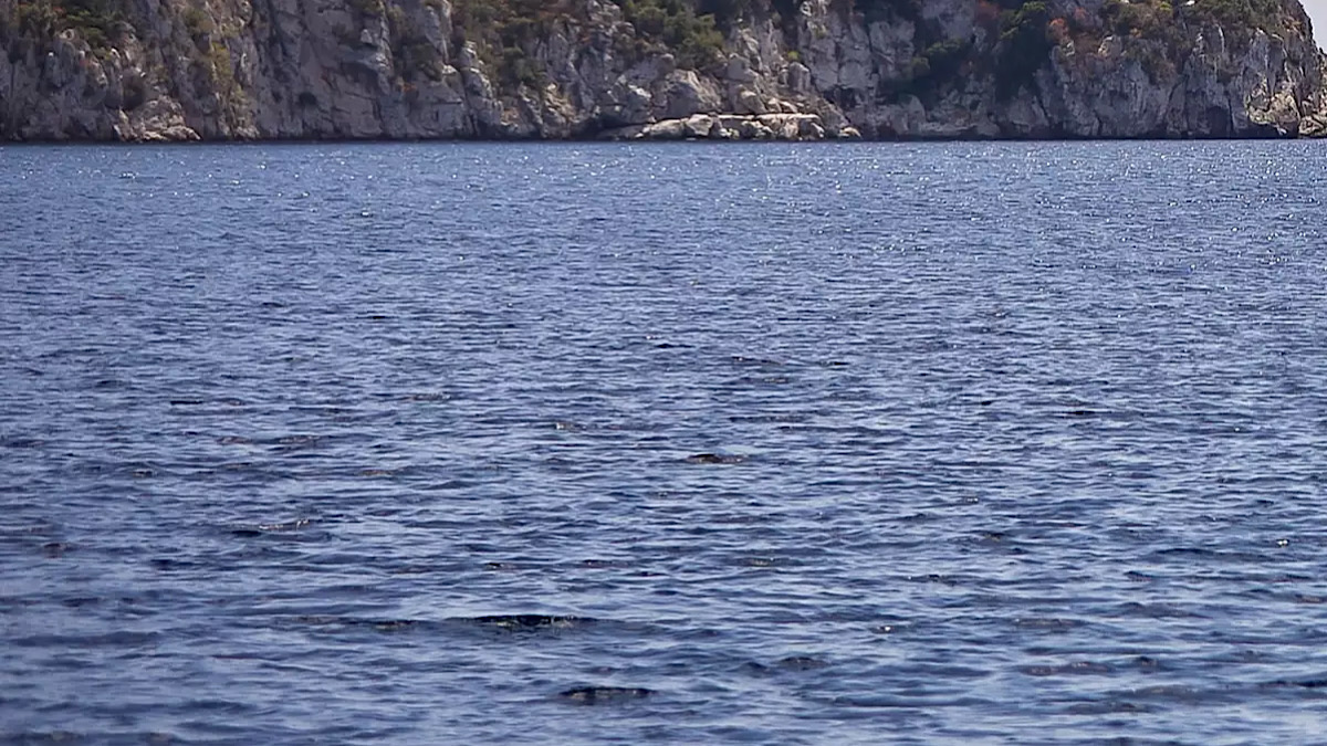 IMG 5045 | Lamianow.gr