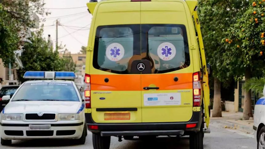 IMG 5183 | Lamianow.gr