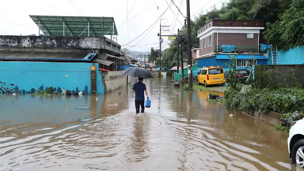 IMG 5195 | Lamianow.gr