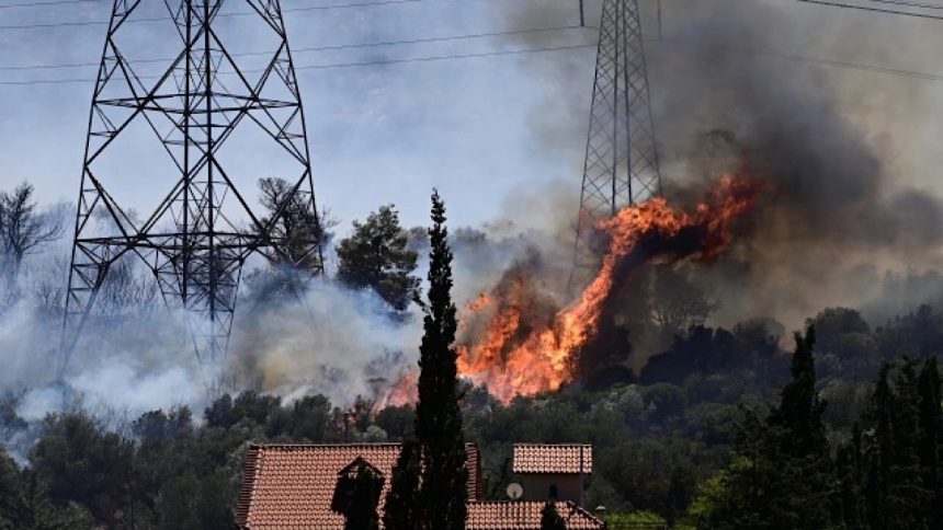 IMG 5249 | Lamianow.gr