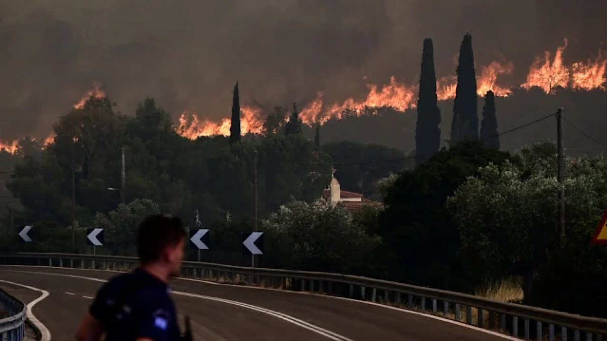 IMG 5285 | Lamianow.gr