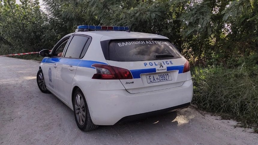 IMG 5324 | Lamianow.gr