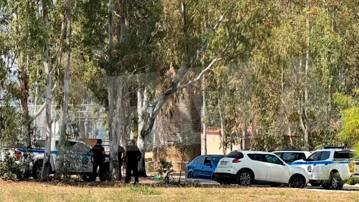 IMG 5355 | Lamianow.gr