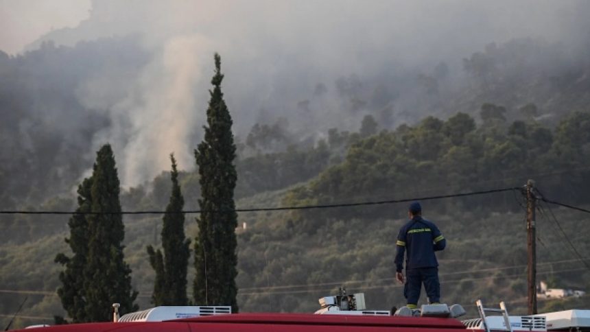 IMG 5440 | Lamianow.gr