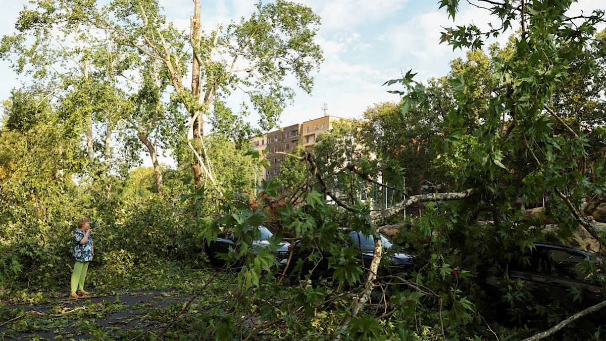 IMG 5465 | Lamianow.gr