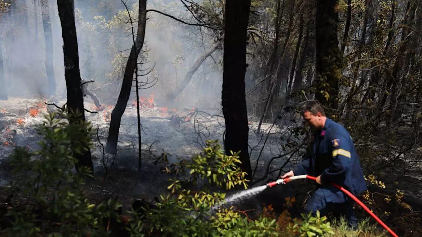 IMG 5474 | Lamianow.gr