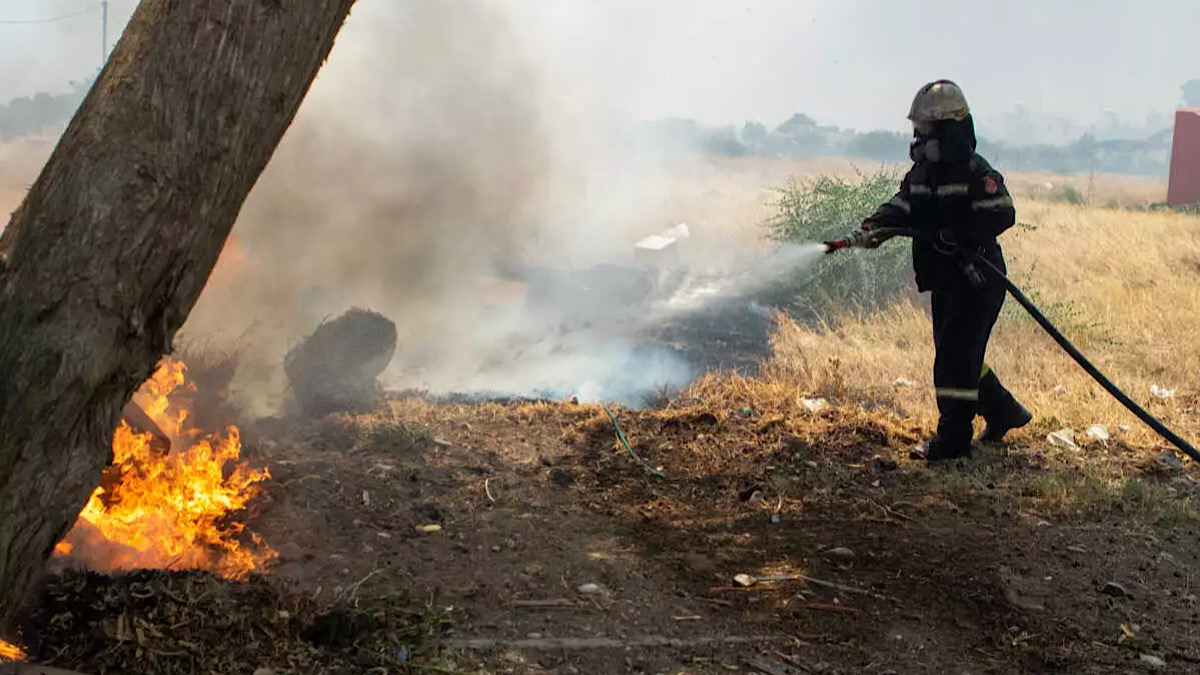 IMG 5485 | Lamianow.gr