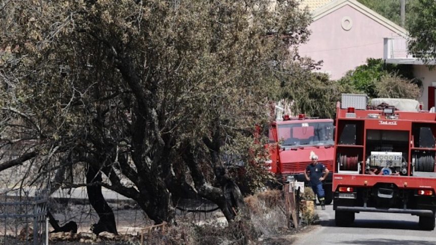 IMG 5534 | Lamianow.gr