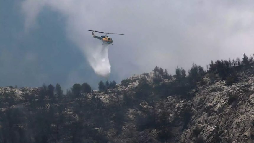 IMG 5585 | Lamianow.gr