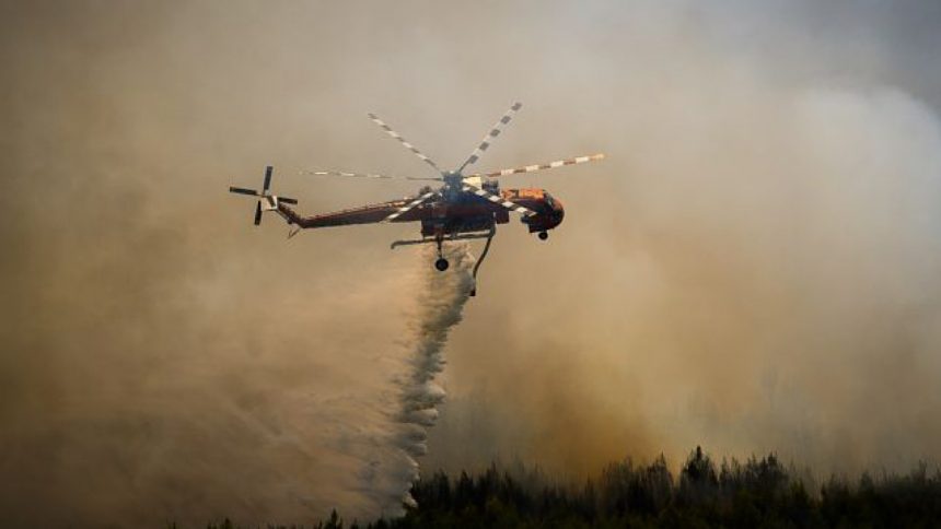 IMG 5737 | Lamianow.gr