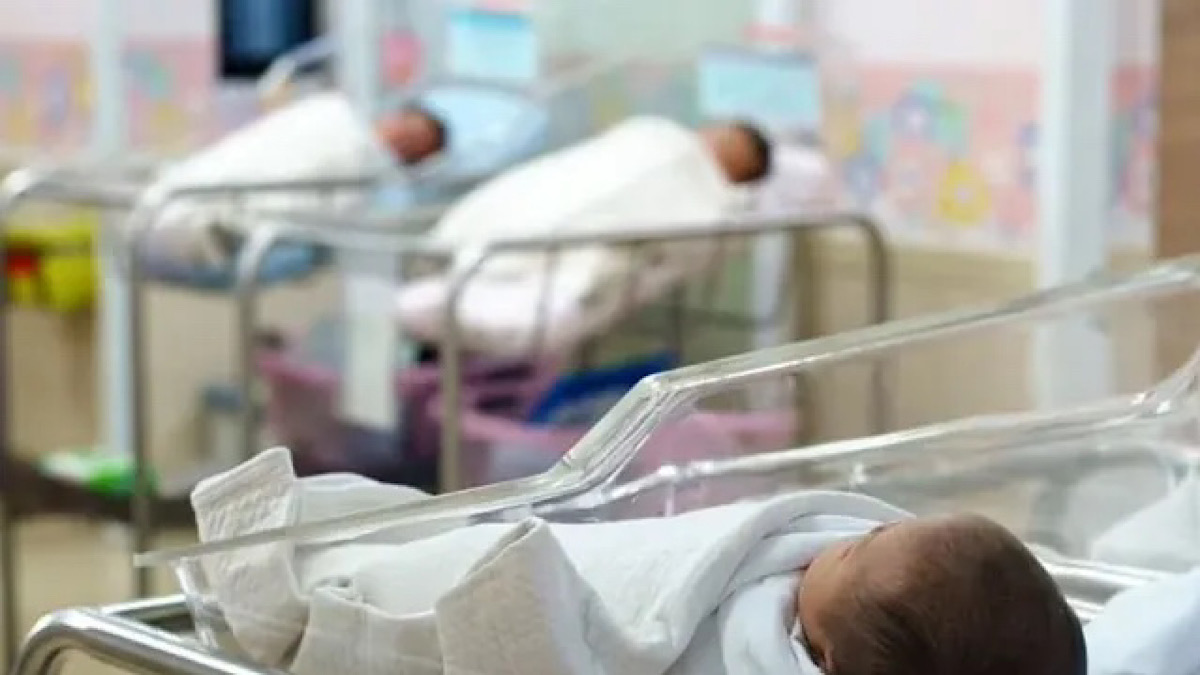 IMG 5906 | Lamianow.gr