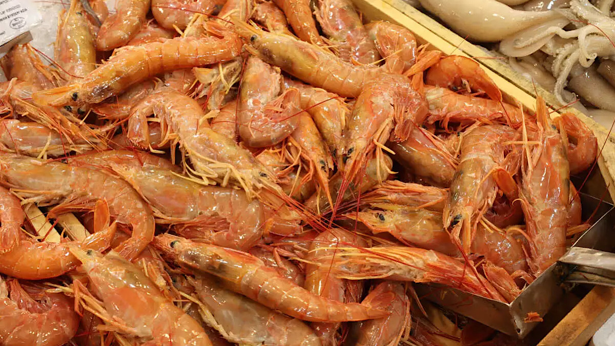 IMG 6147 | Lamianow.gr