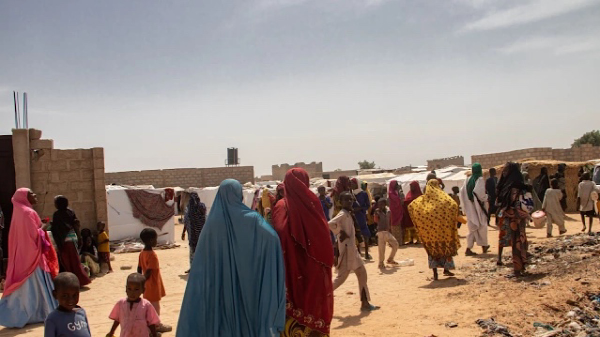 IMG 6178 | Lamianow.gr