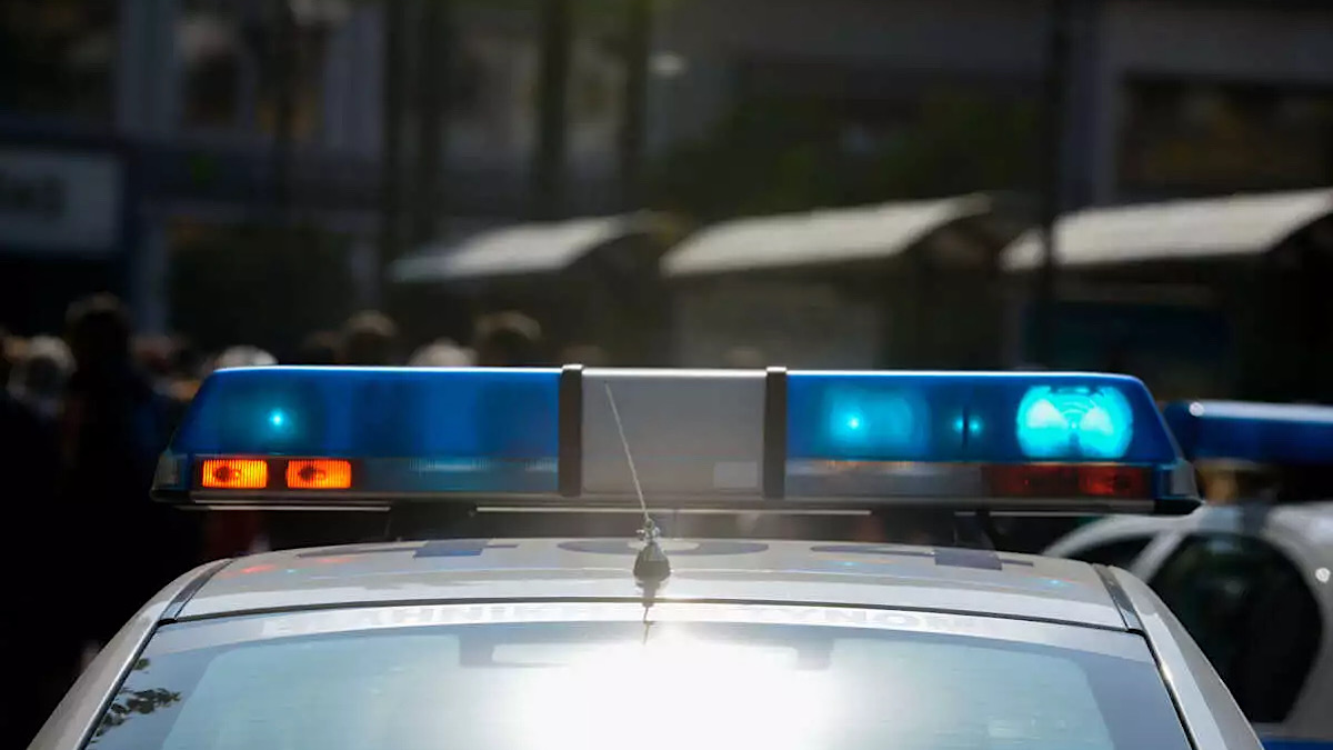 IMG 6231 | Lamianow.gr