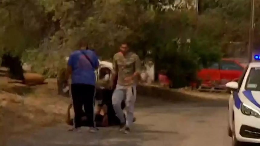 IMG 6233 | Lamianow.gr