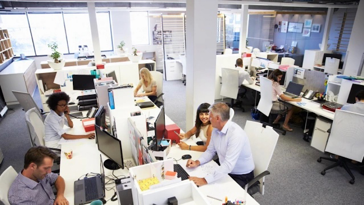 IMG 6257 | Lamianow.gr