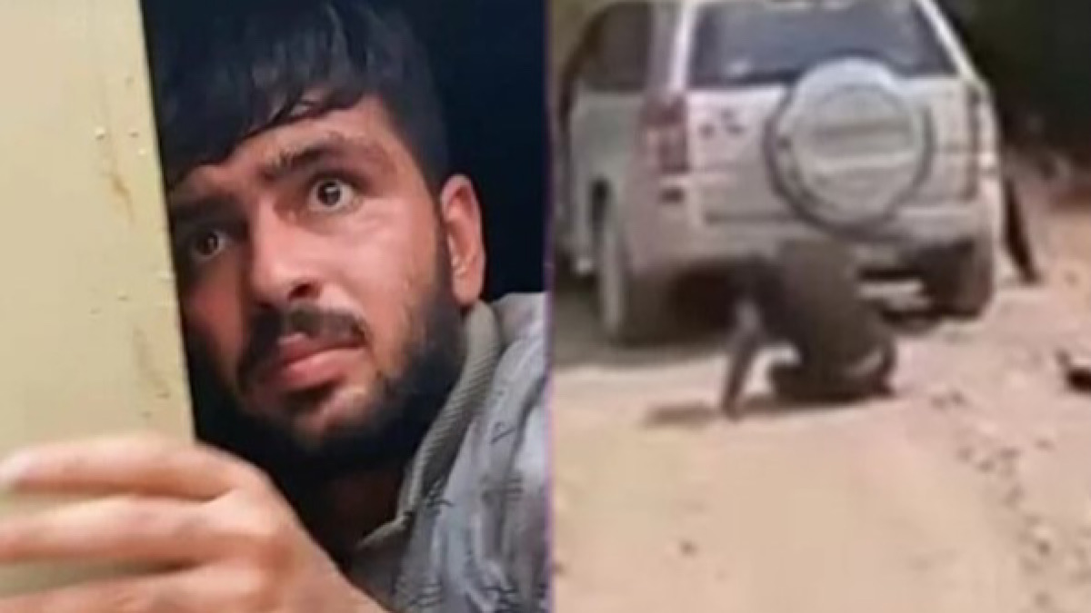 IMG 6342 | Lamianow.gr