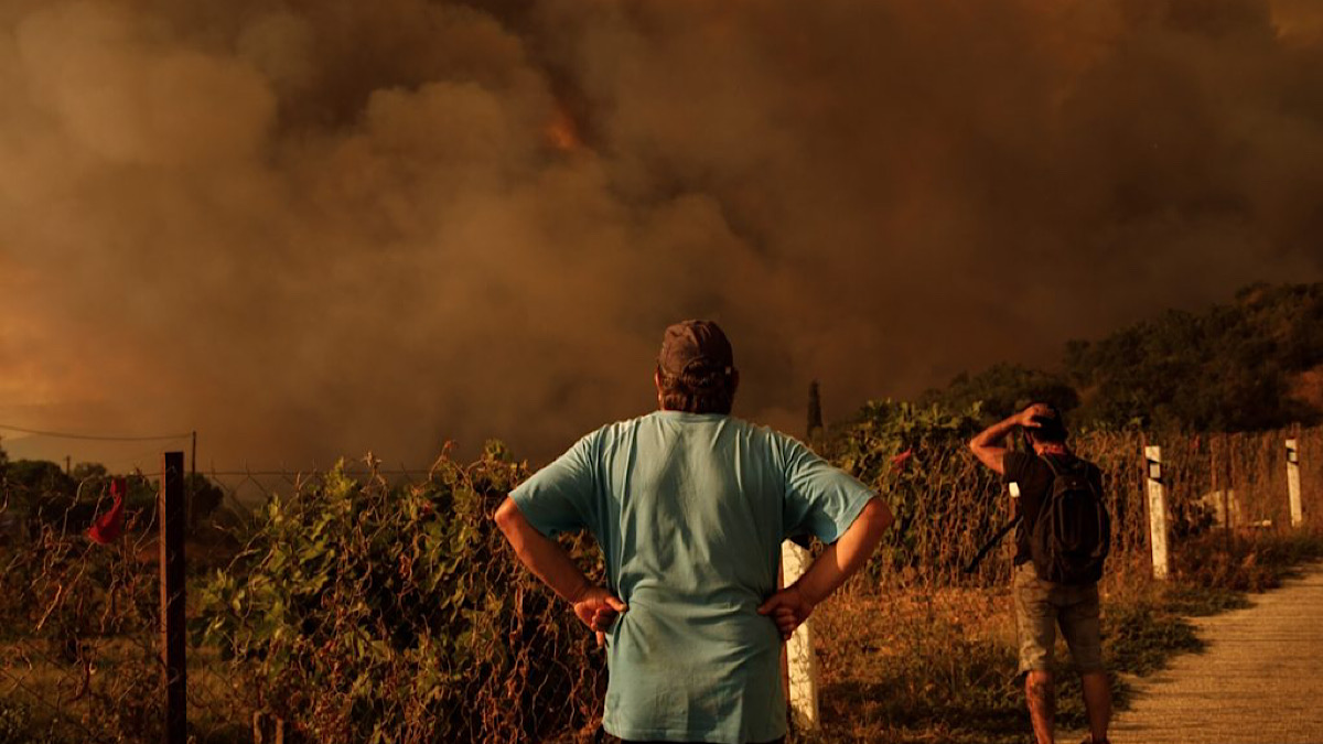 IMG 6370 | Lamianow.gr