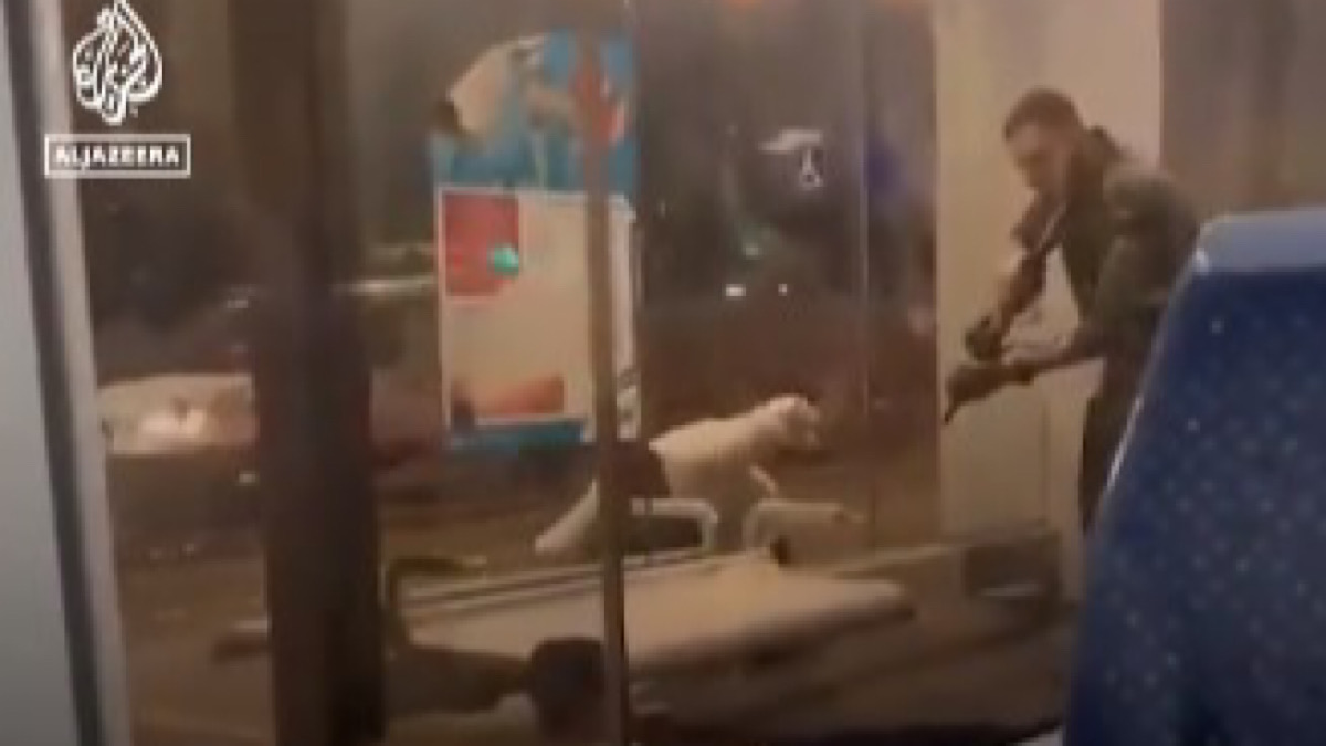 IMG 6400 | Lamianow.gr