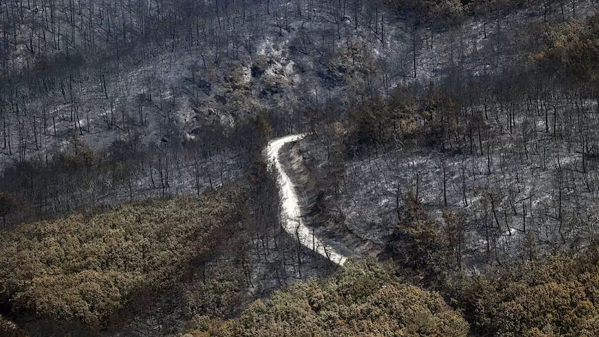 IMG 6439 | Lamianow.gr