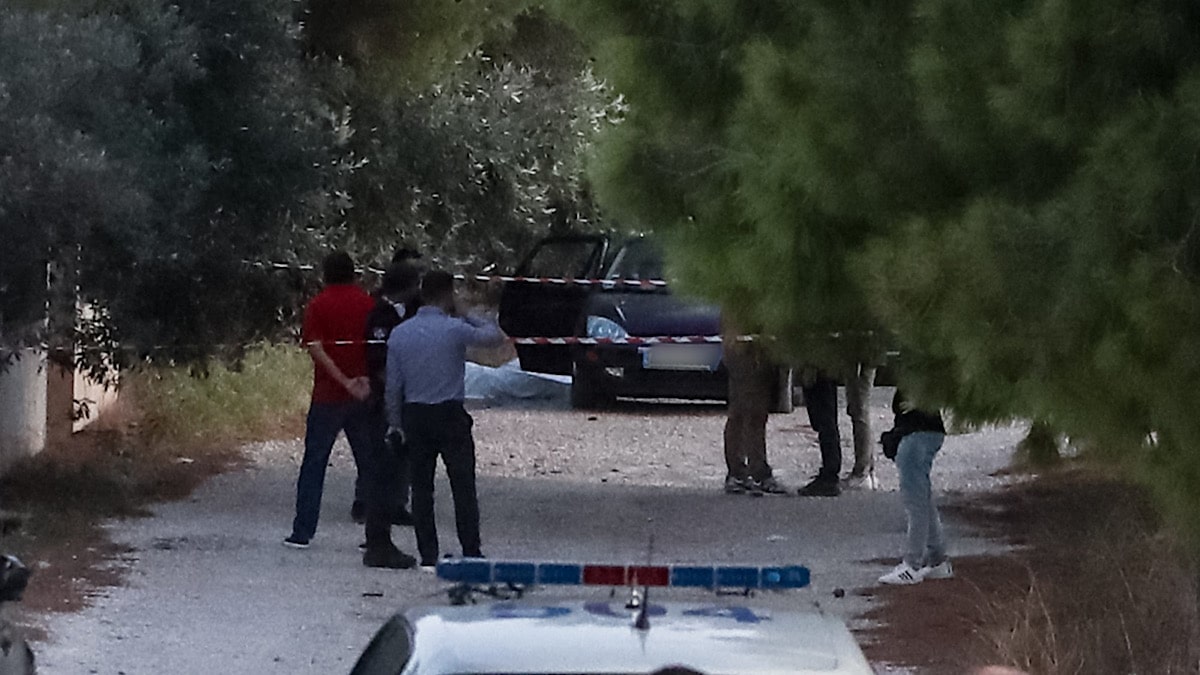 IMG 6558 | Lamianow.gr