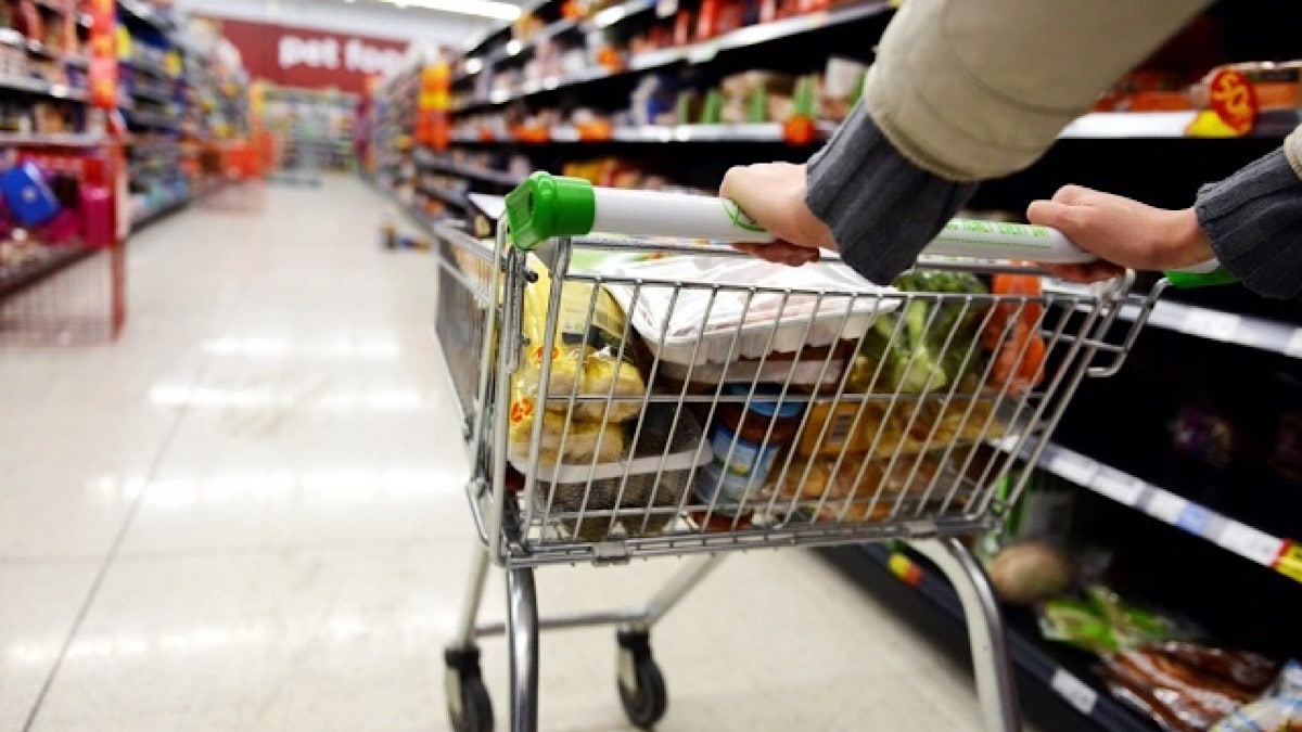 IMG 6569 | Lamianow.gr