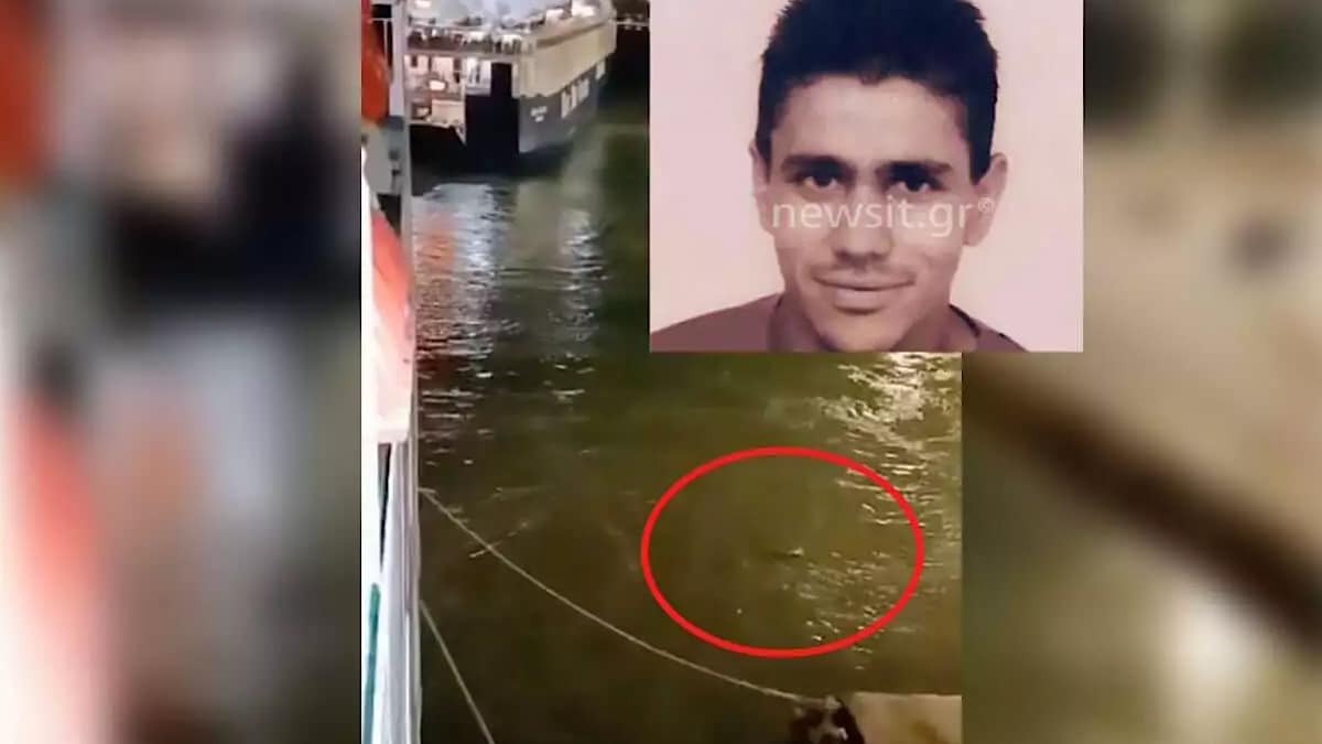 IMG 6571 | Lamianow.gr