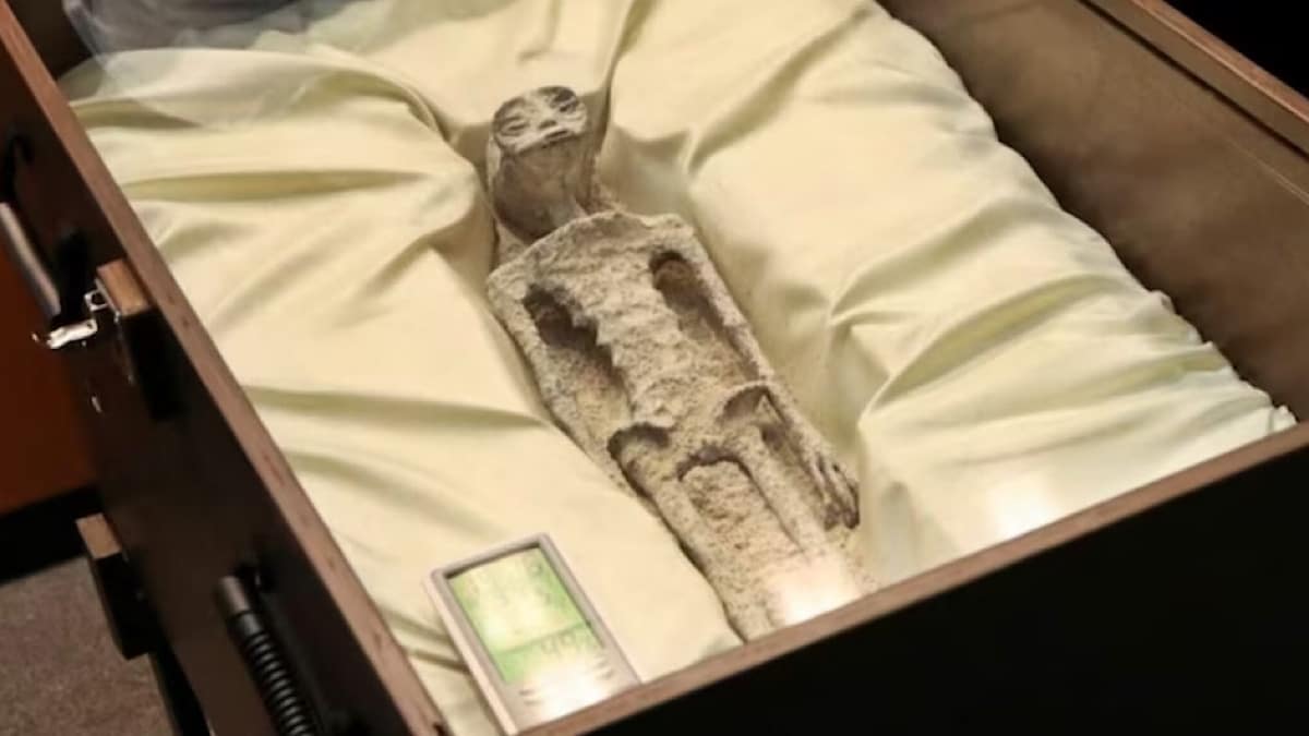 IMG 6573 | Lamianow.gr