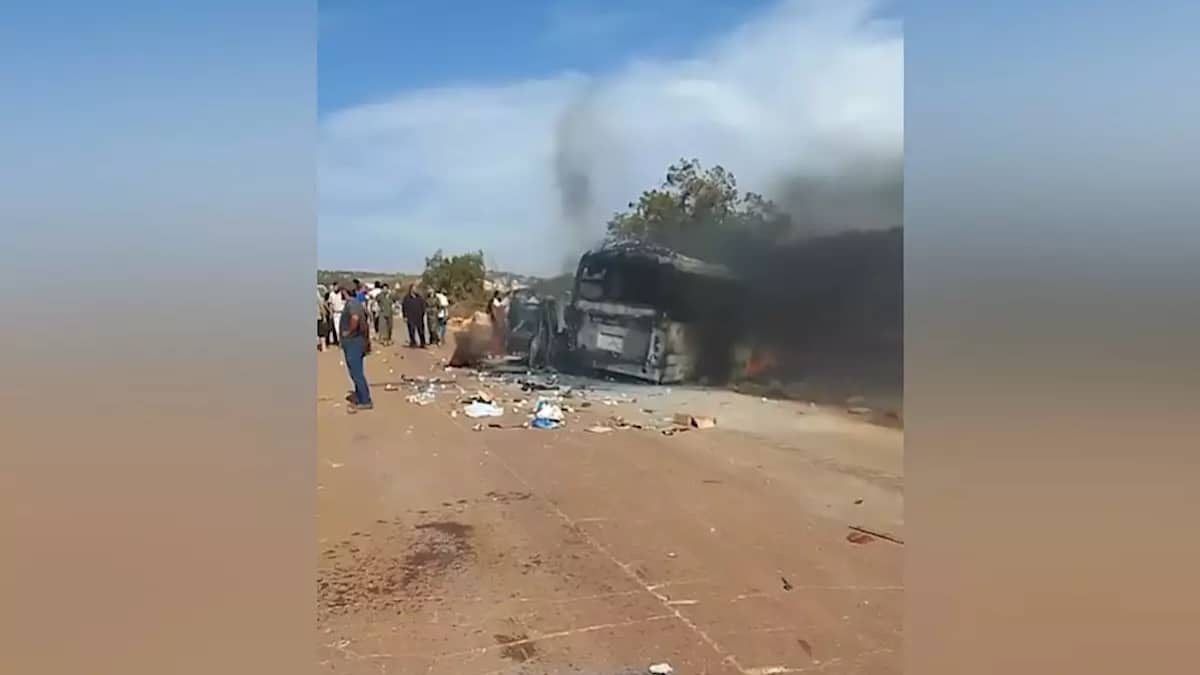 IMG 6601 | Lamianow.gr